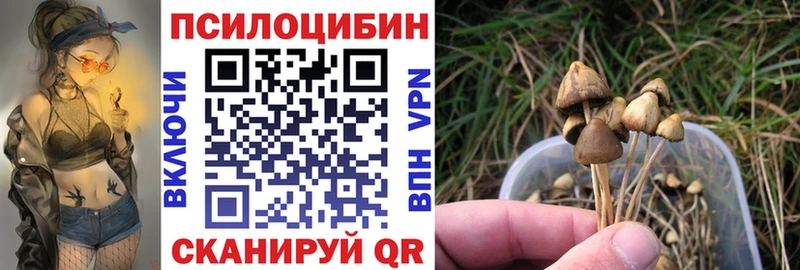 Купить закладки  Верхняя Салда  Псилоцибиновые грибы мицелий 